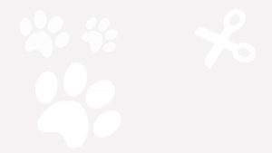 BG